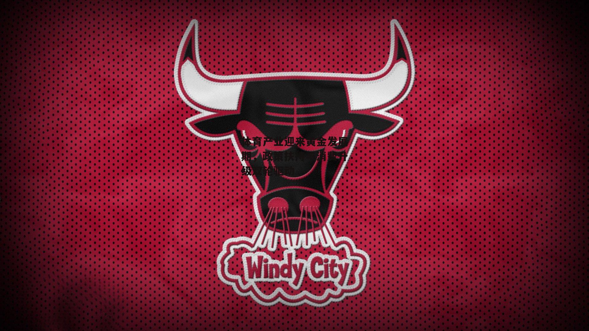 体育产业迎来黄金发展期，政策扶持与消费升级双轮驱动