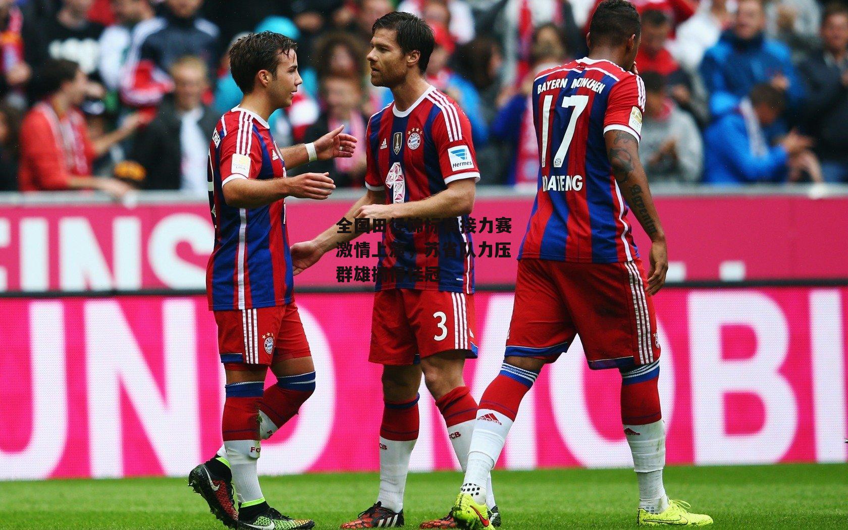 全国田径锦标赛接力赛激情上演，苏省队力压群雄摘得桂冠